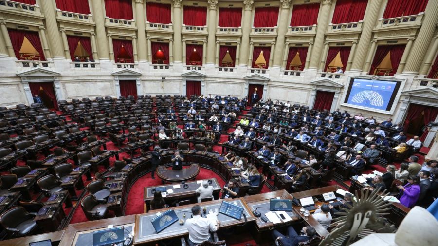 20241126 Sesión del 26 de noviembre en la Cámara de Diputados