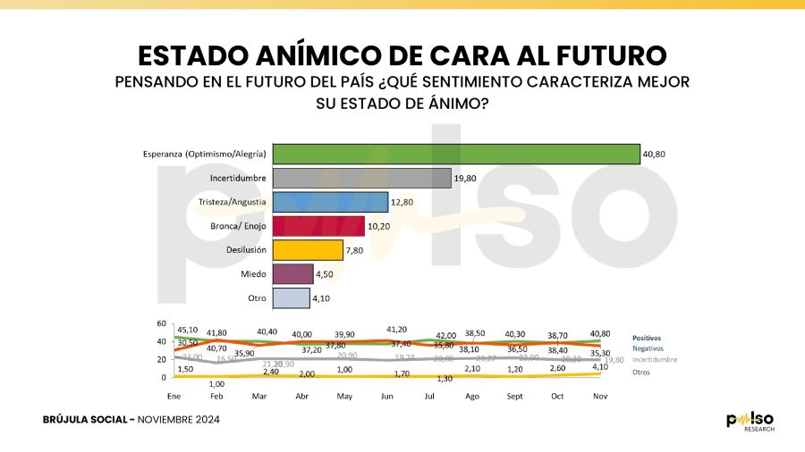 Encuesta Pulso Research | Noviembre 2024