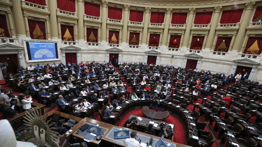 20241127 Cámara de Diputados