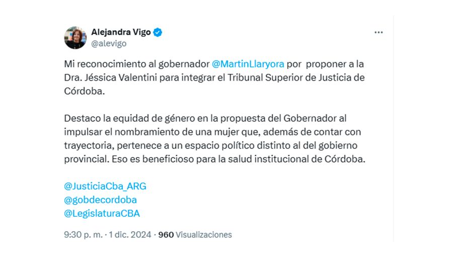 Alejandra Vigo sobre Valentini en el TSJ