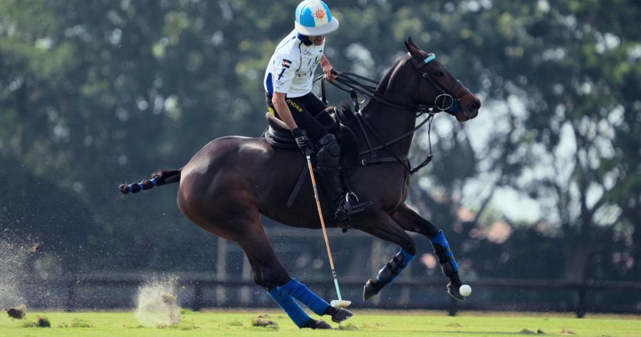 Polo: una serie documental del príncipe Harry y Meghan Markle que mezcla adrenalina, elegancia y sacrificio en Netflix