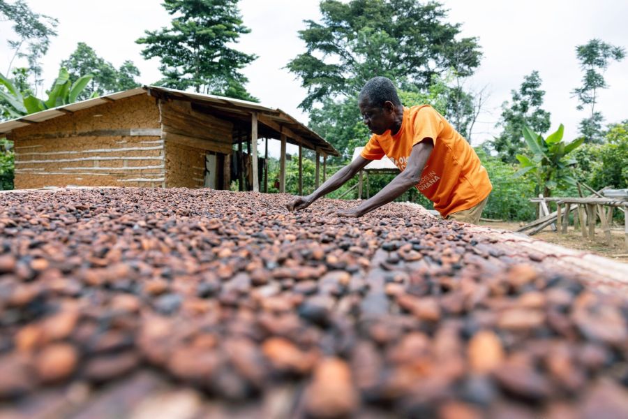 African Cocoa Harvest Might Improve But Your Chocolate Prices Won’t