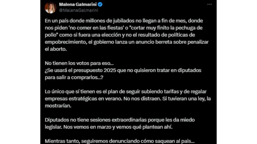 Los cruces contra Martín Menem por sus dichos sobre el aborto 20241217