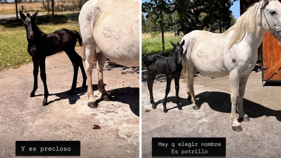 Sarah Burlando conoció al nuevo integrante de la familia