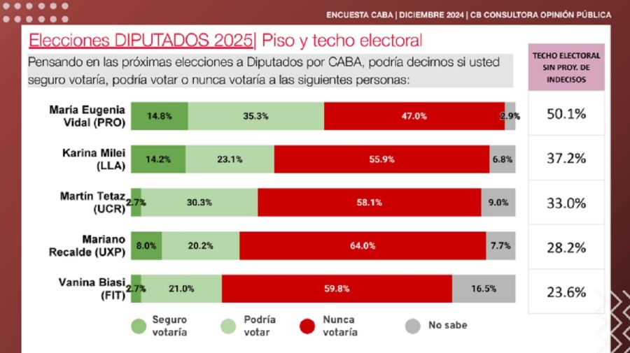 Encuesta CABA Diputados y Senadores