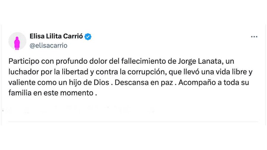 Patricia Bullrich, Mauricio Macri, Alfredo Cornejo, Maxi Ferraro, Pamela Verasay y Elisa Lilita Carrió Tweet 20241230