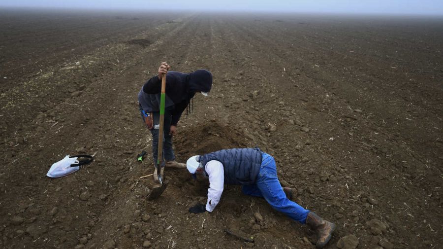 POLÍTICA ESTADOUNIDENSE MIGRACIÓN AGRICULTURA TRUMP 20241231