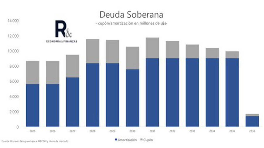 Vencimiento de deuda enero 2025 