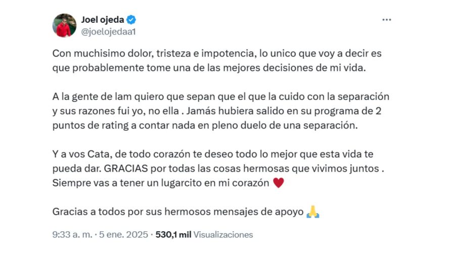 El descargo de Joel Ojeda tras su separación de Catalina Gorostidi