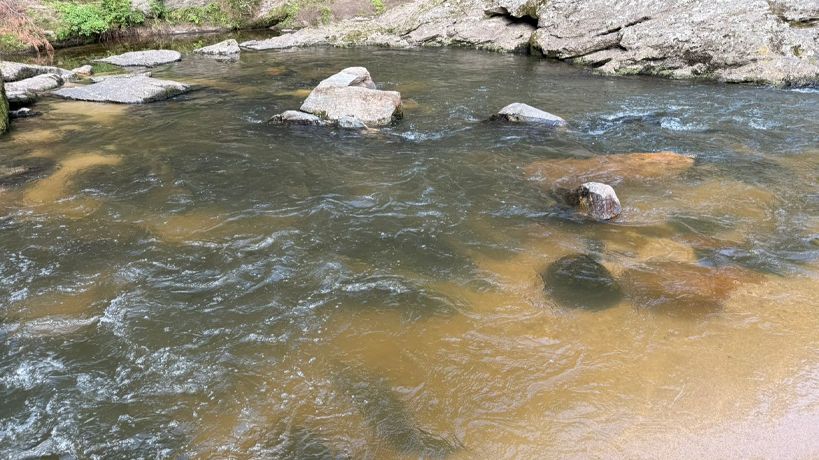 Contaminación en el rio de La Cumbrecita