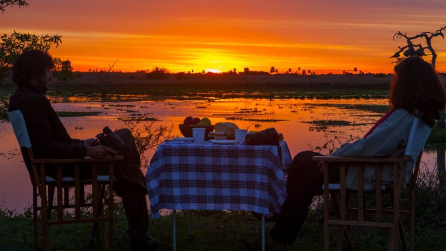 Destinos en la selva