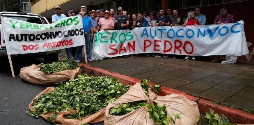 Los productores yerbateros convocaron a una asamblea en la localidad de San Pedro, en Misiones.