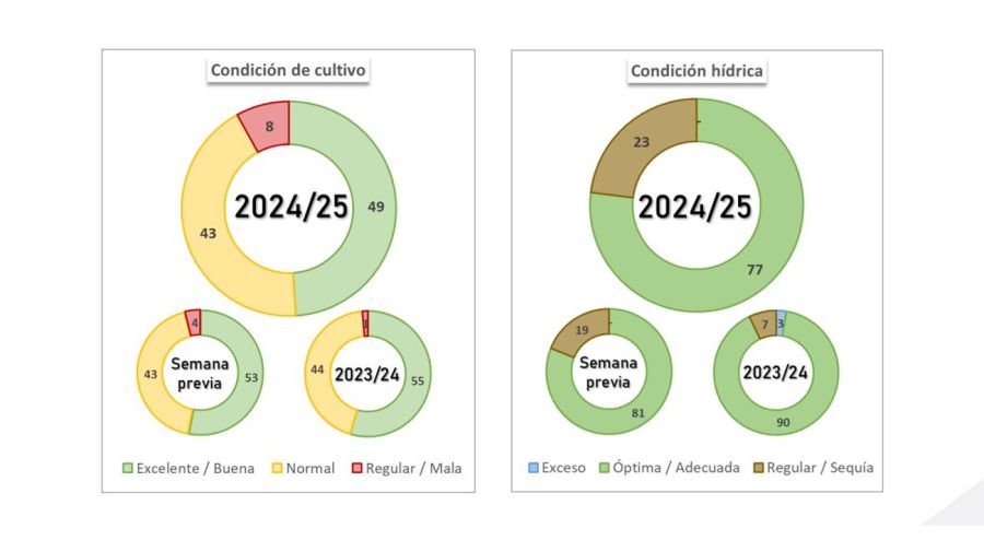 Condición de Soja y Maíz