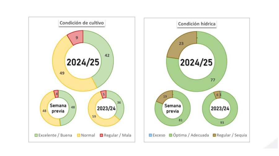 Condición de Soja y Maíz