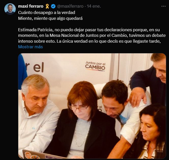 Maximiliano Ferraro Patricia Bullrich 20250114