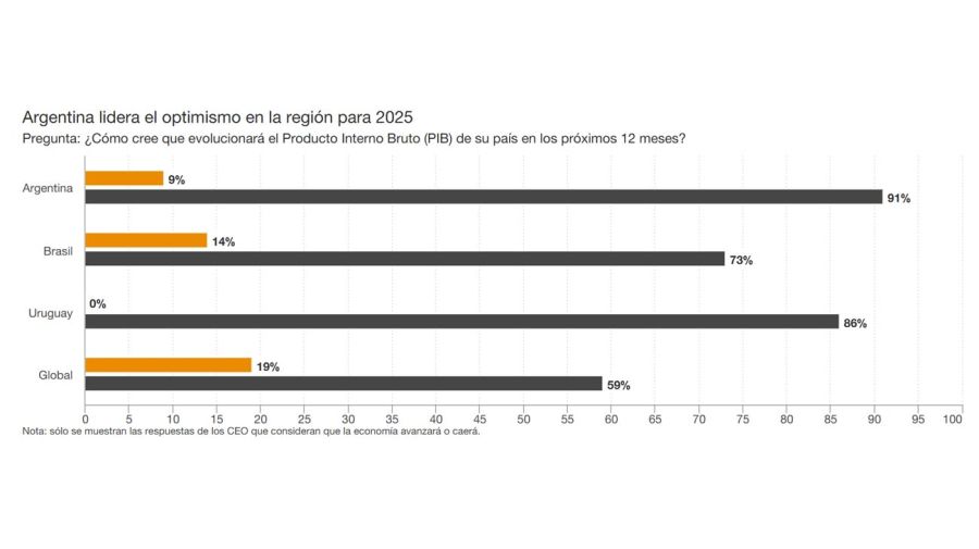 Expectativa de los CEO argentinos