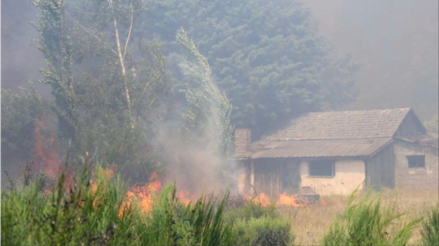 Ignacio Torres, incendio en Epuyén 20250121