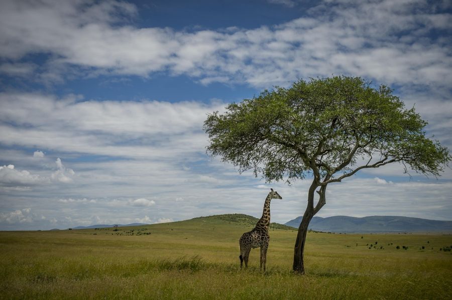 África en imágenes