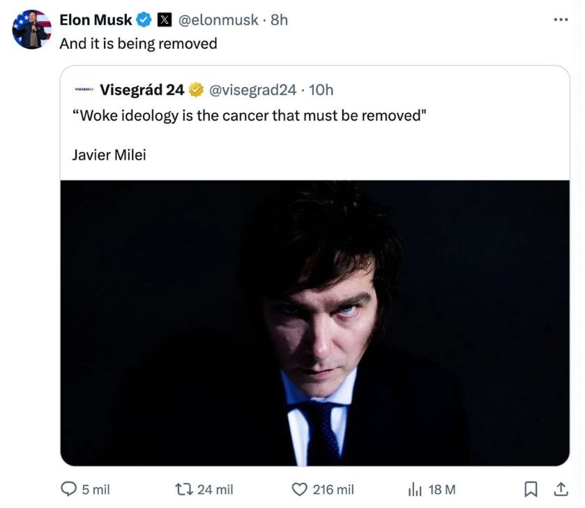 Elon Musk Milei