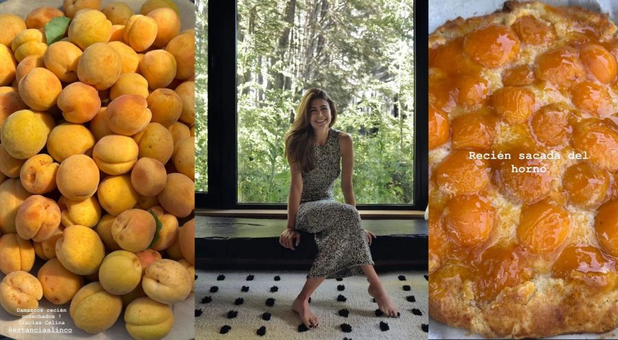 Tarta rústica de damascos de Juliana Awada