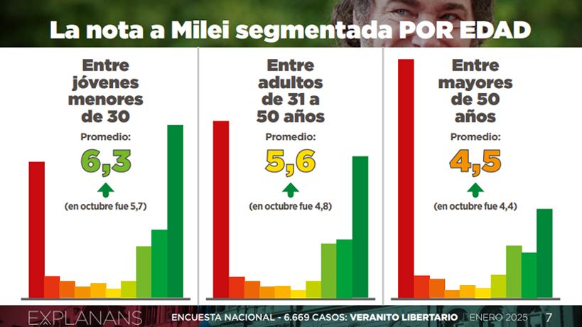 Calificación de Milei según la edad