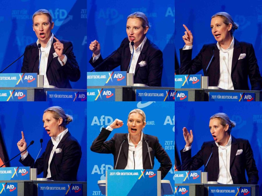 aliceWeidel2025