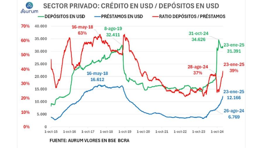 Evolución del crédito en dólares en 2024