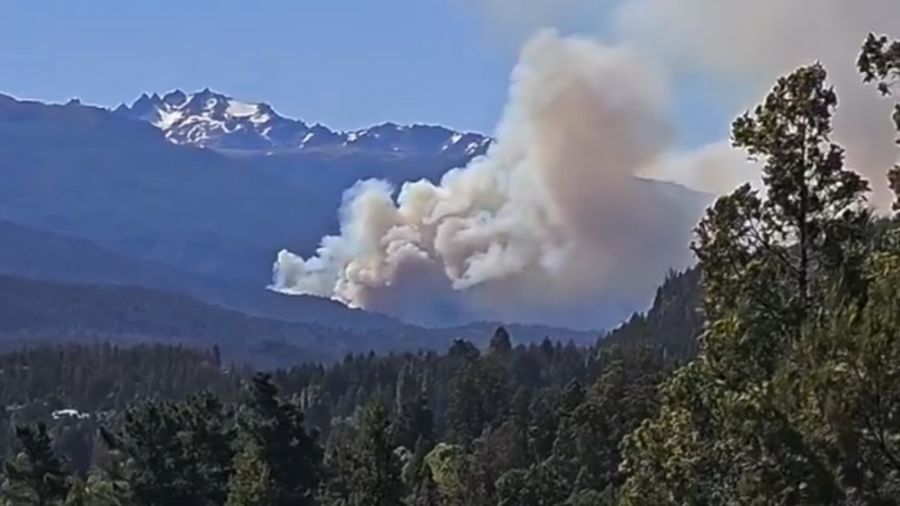 Incendio en El Bolsón 20250131