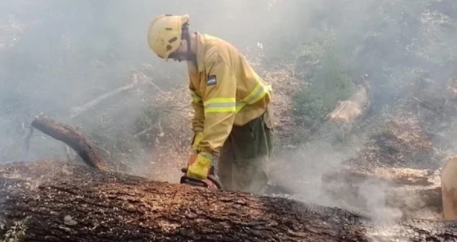 Incendio en El Bolsón 20250131