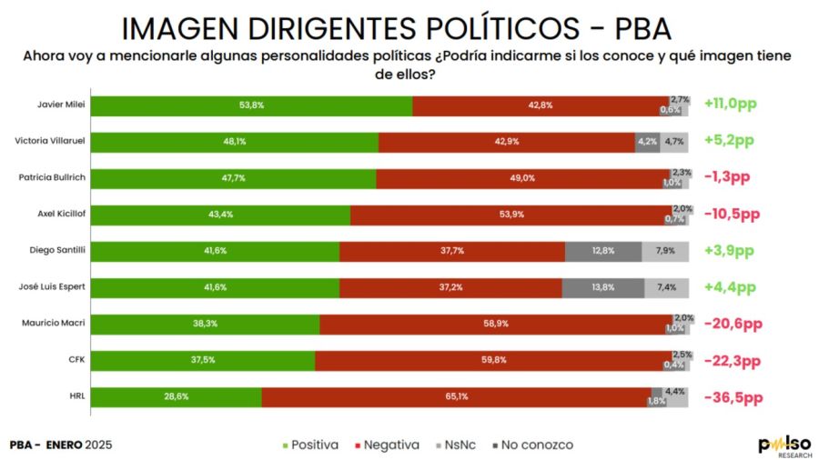 Encuesta intención de voto en la Provincia de Buenos Aires 20250203