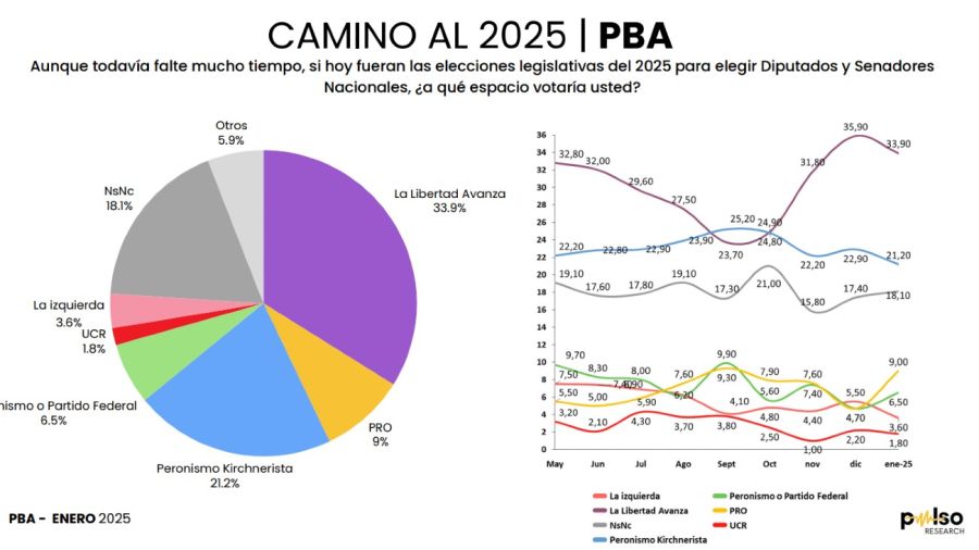 Encuesta intención de voto en la Provincia de Buenos Aires 20250203