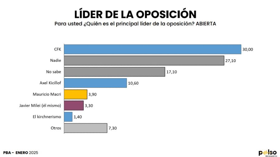 Encuesta intención de voto en la Provincia de Buenos Aires 20250203