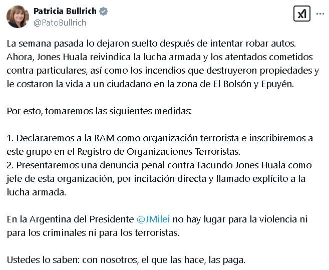 Tuit Patricia Bullrich sobre el caso de Facundo Jones Huala