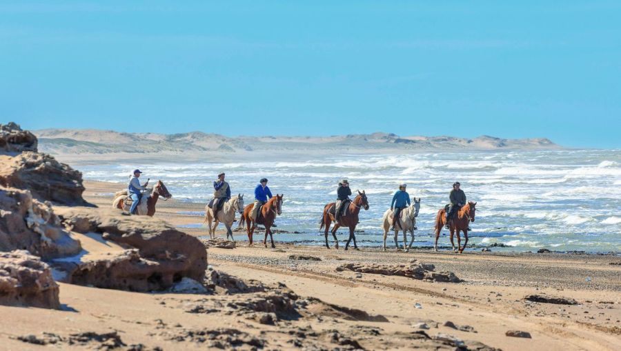 0206_cabalgata