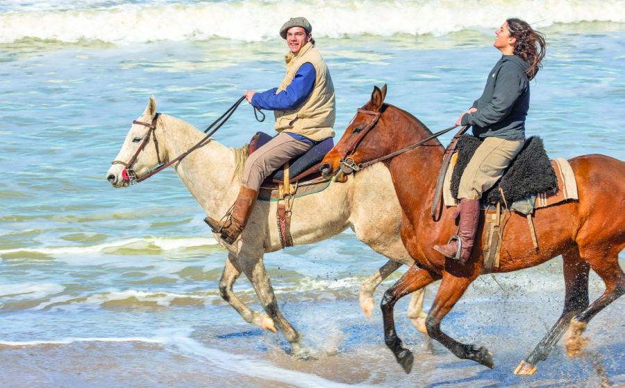 0206_cabalgata