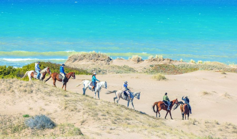 0206_cabalgata