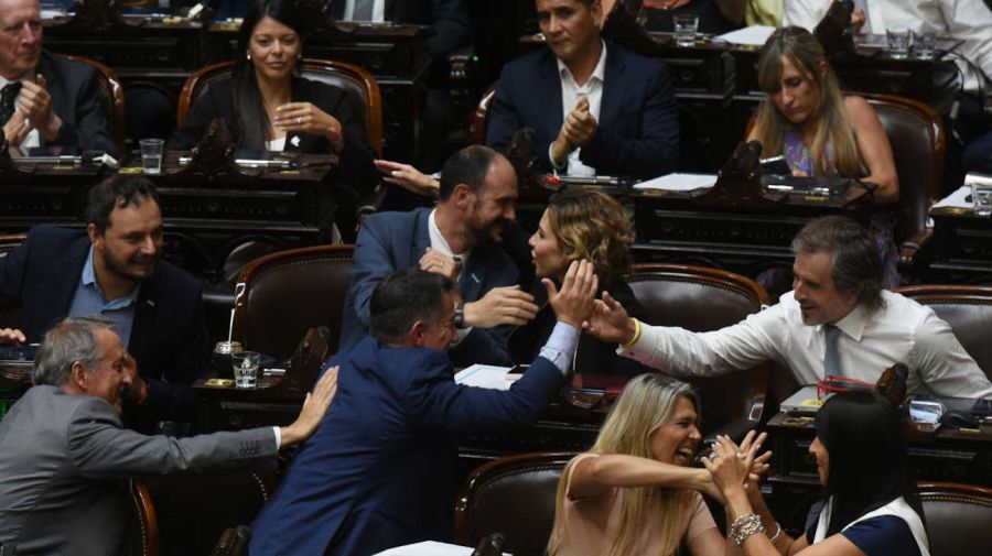 Sesión de la Cámara de Diputados para suspender las PASO