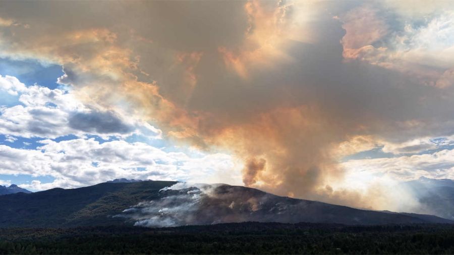 ARGENTINA MEDIO AMBIENTE INCENDIO FORESTAL 20250207