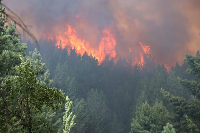 El fuego en la zona de El Bolsón sigue fuera de control. 