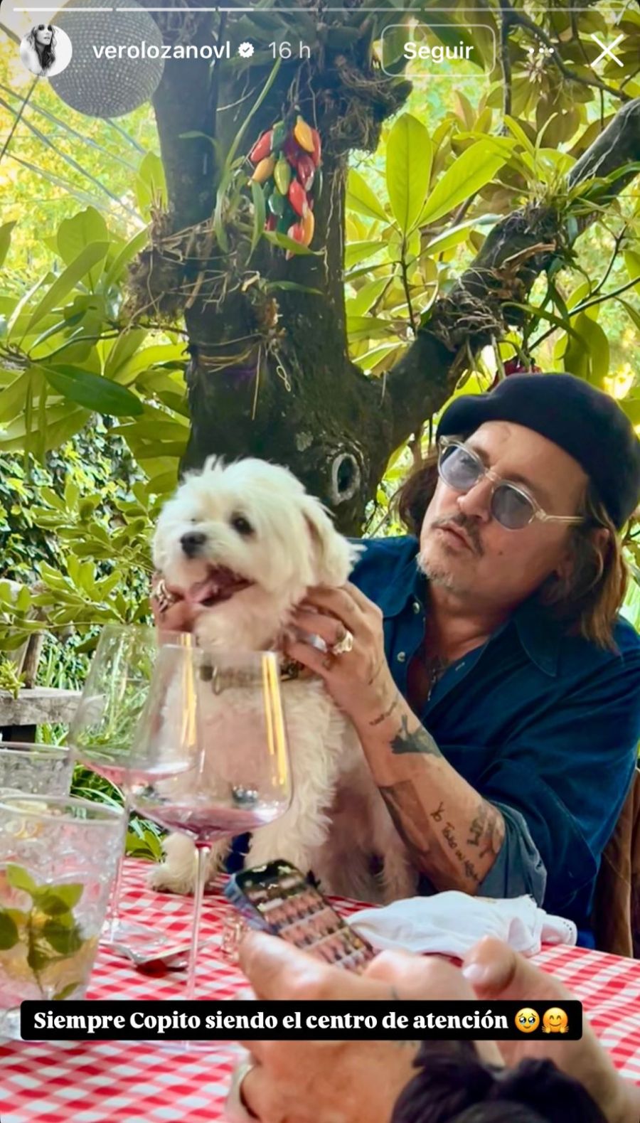 Johnny Depp y Copito, el perro de Vero Lozano