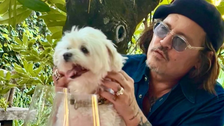 La dulce imagen de Johnny Depp junto a Copito, el inseparable perro de Vero  Lozano | Caras