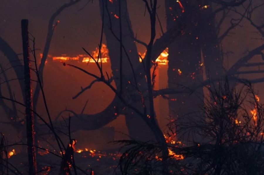 1002_incendios