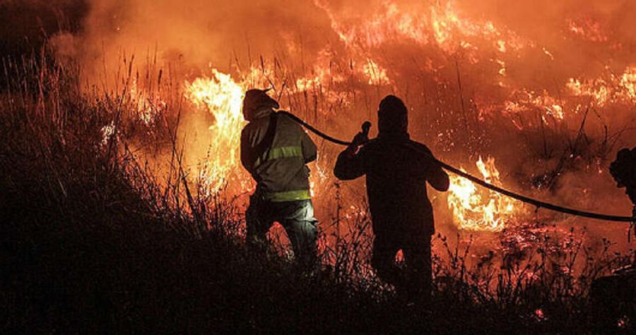 1002_incendios
