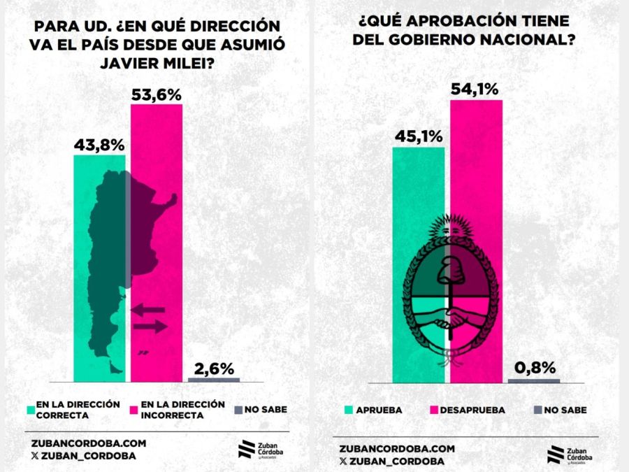 Encuesta imagen y gestión del Gobierno de Javier Milei 20250210