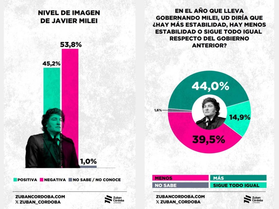 Encuesta imagen y gestión del Gobierno de Javier Milei 20250210