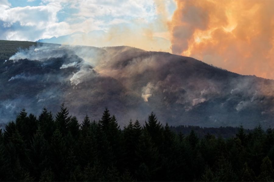 Incendios en la Patagonia