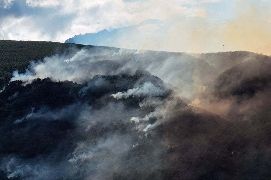 Incendios en la Patagonia