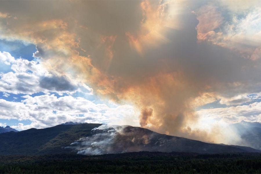 Incendios en la Patagonia