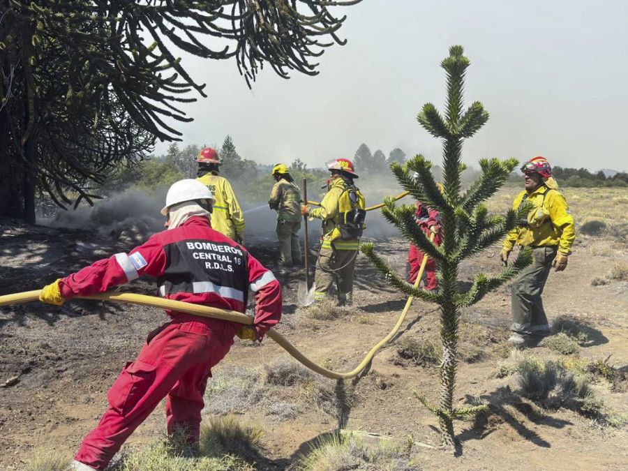 Incendios en la Patagonia