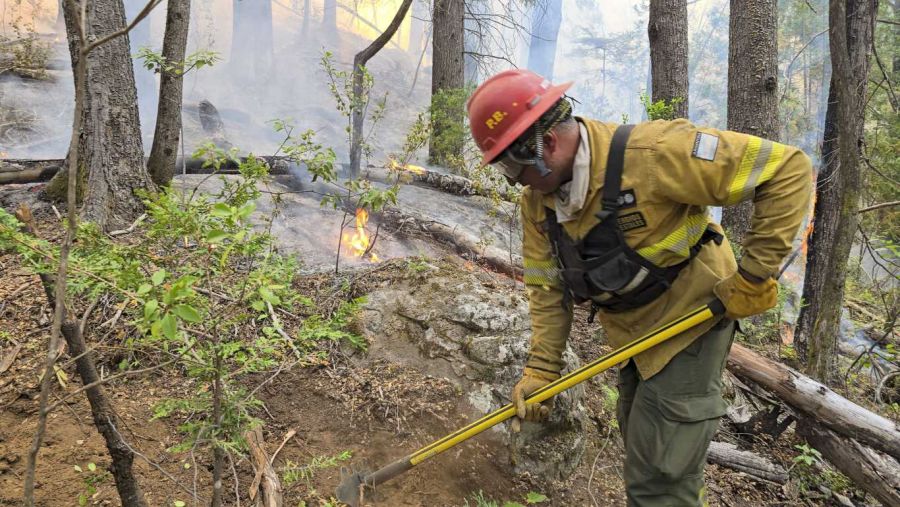 Incendios en la Patagonia